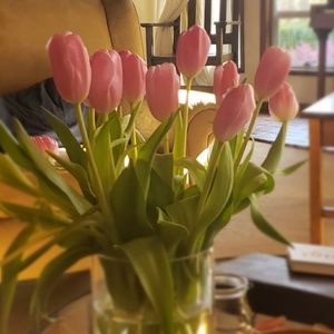 Meet your Posher, Deb